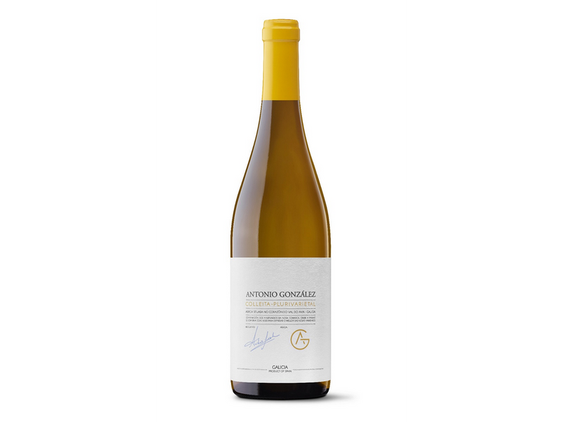 Antonio González Plurivarietal 2023