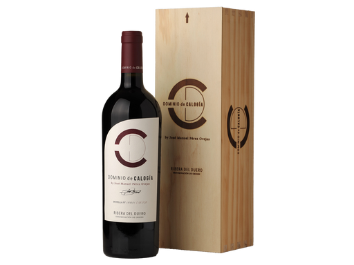 Dominio de Calogía 2022 Magnum