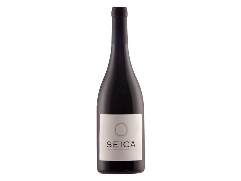 Seica 2011