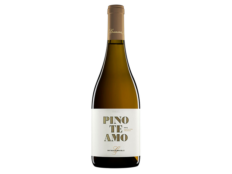 Pinoteamo