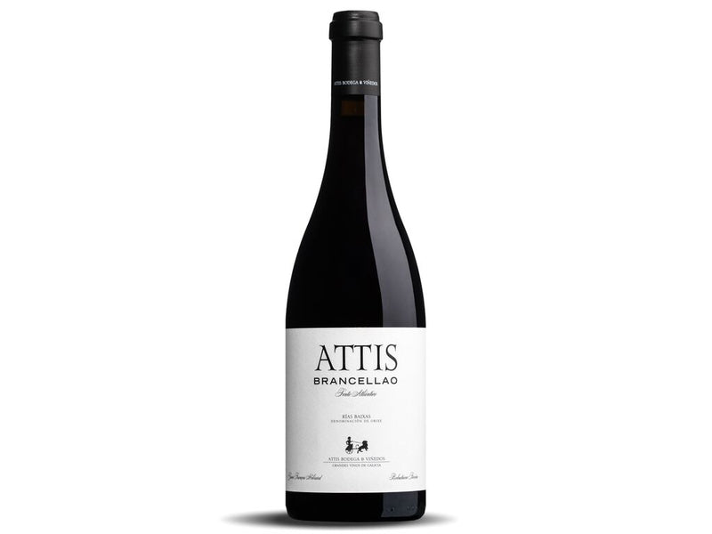 Attis Brancellao 2022