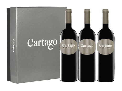 Cartago Estuche 3 botellas - Vinusdei