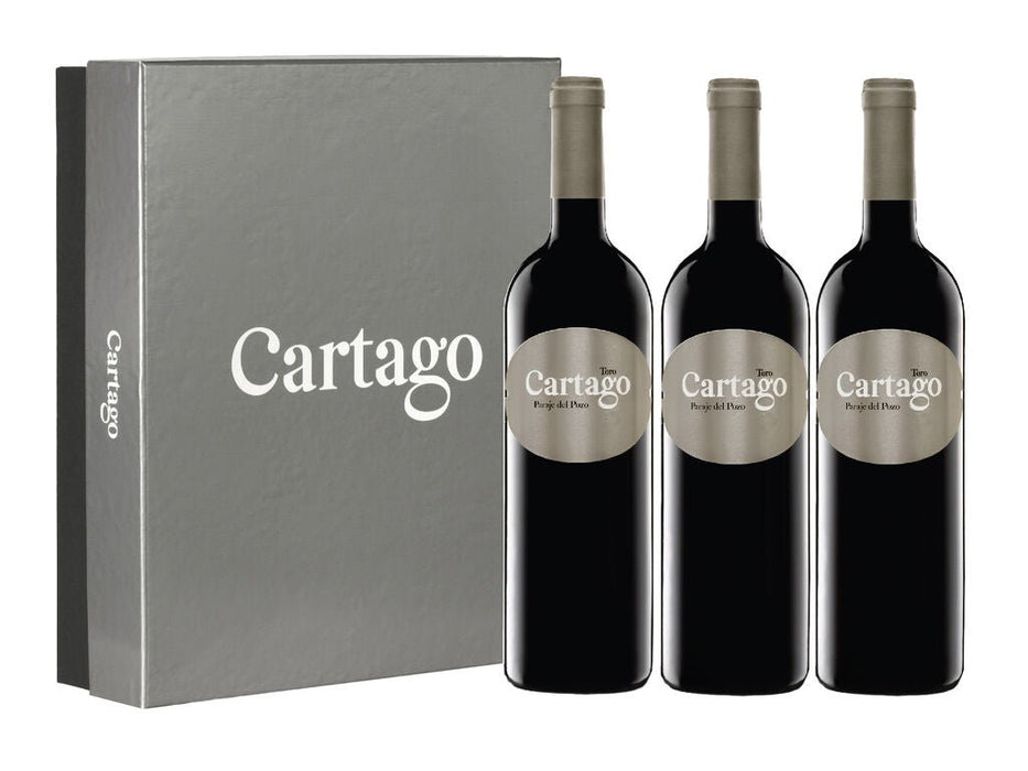 Cartago Estuche 3 botellas