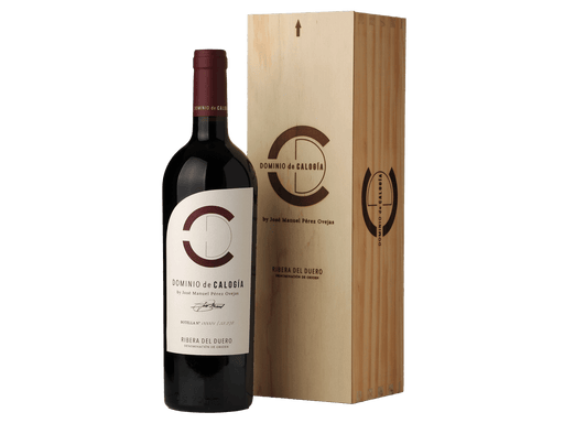 Dominio de Calogía 2022 Magnum