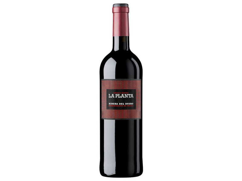 La Planta 2023 Magnum