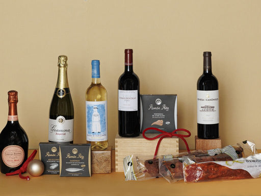 Lote 91 Navidad 2025