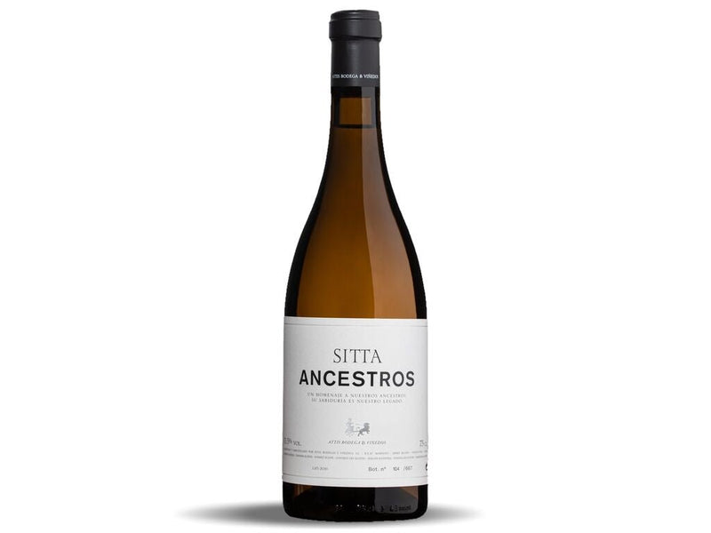 Sitta Ancestros 2015